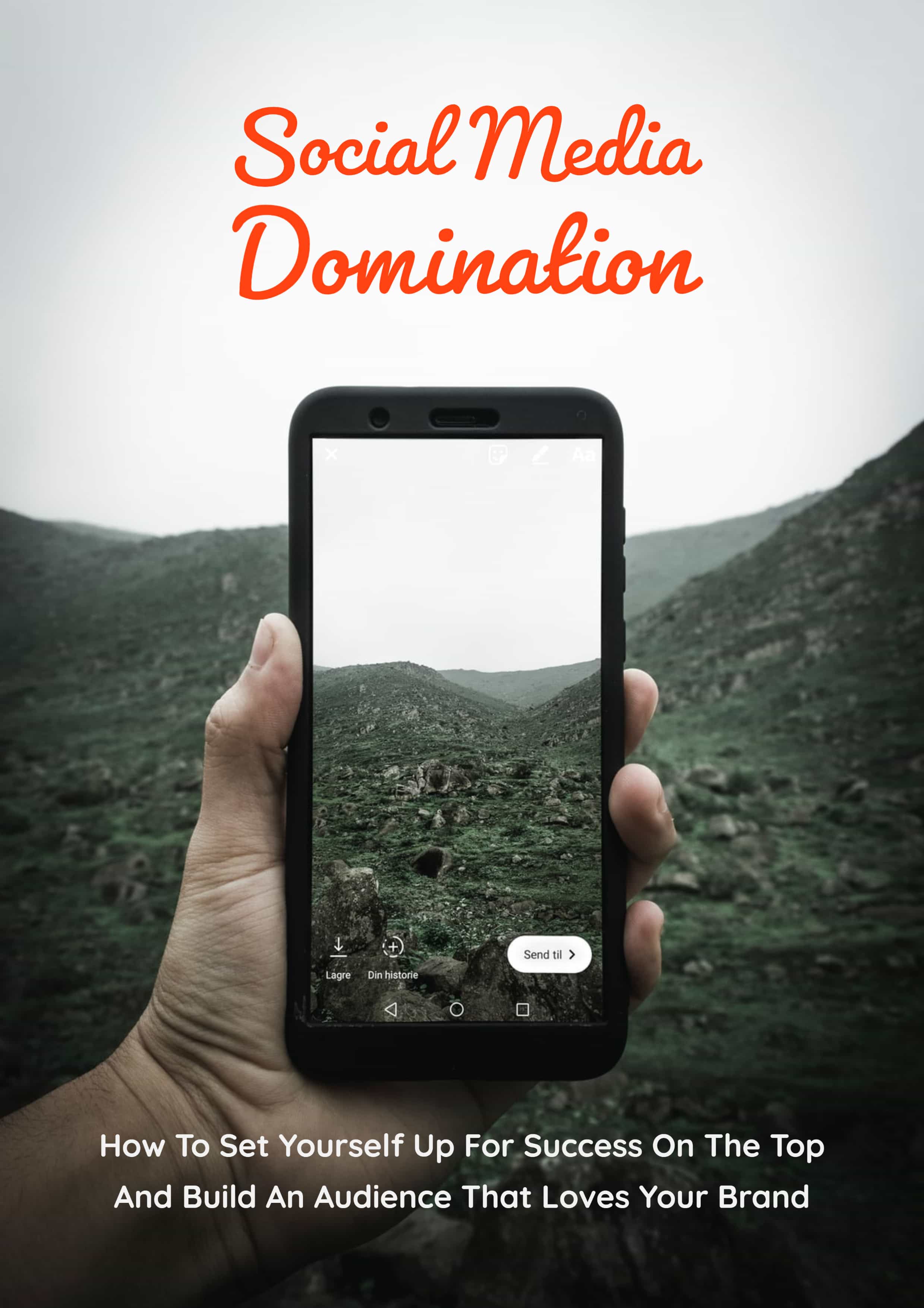 Social Network Domination